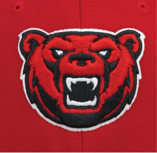 Cap America 3D Embroidery