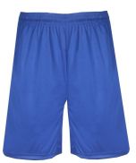 BT5 Trainer Short by Badger Sport Style Number 4110