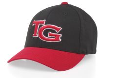 185 Pro Cotton FlexFit Hat by Richardson Caps