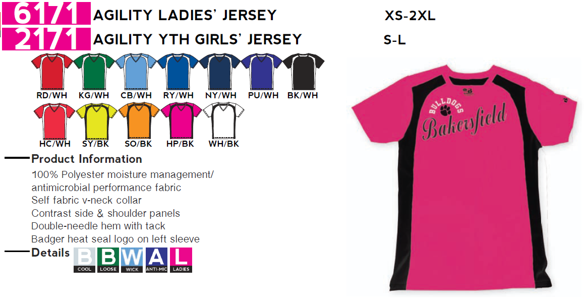 Buy Agility Ladies Softball Jersey by Badger Sport Style Number 6171