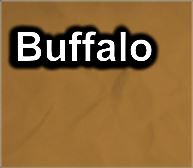 Buffalo