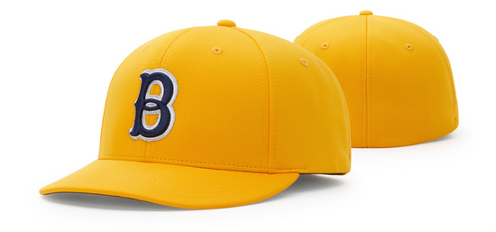 PTS20 with custom logo front