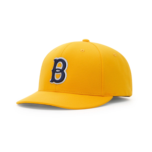 Richardson PTS20 custom team hat with logo