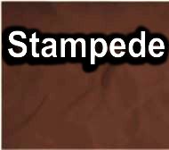 Stampede
