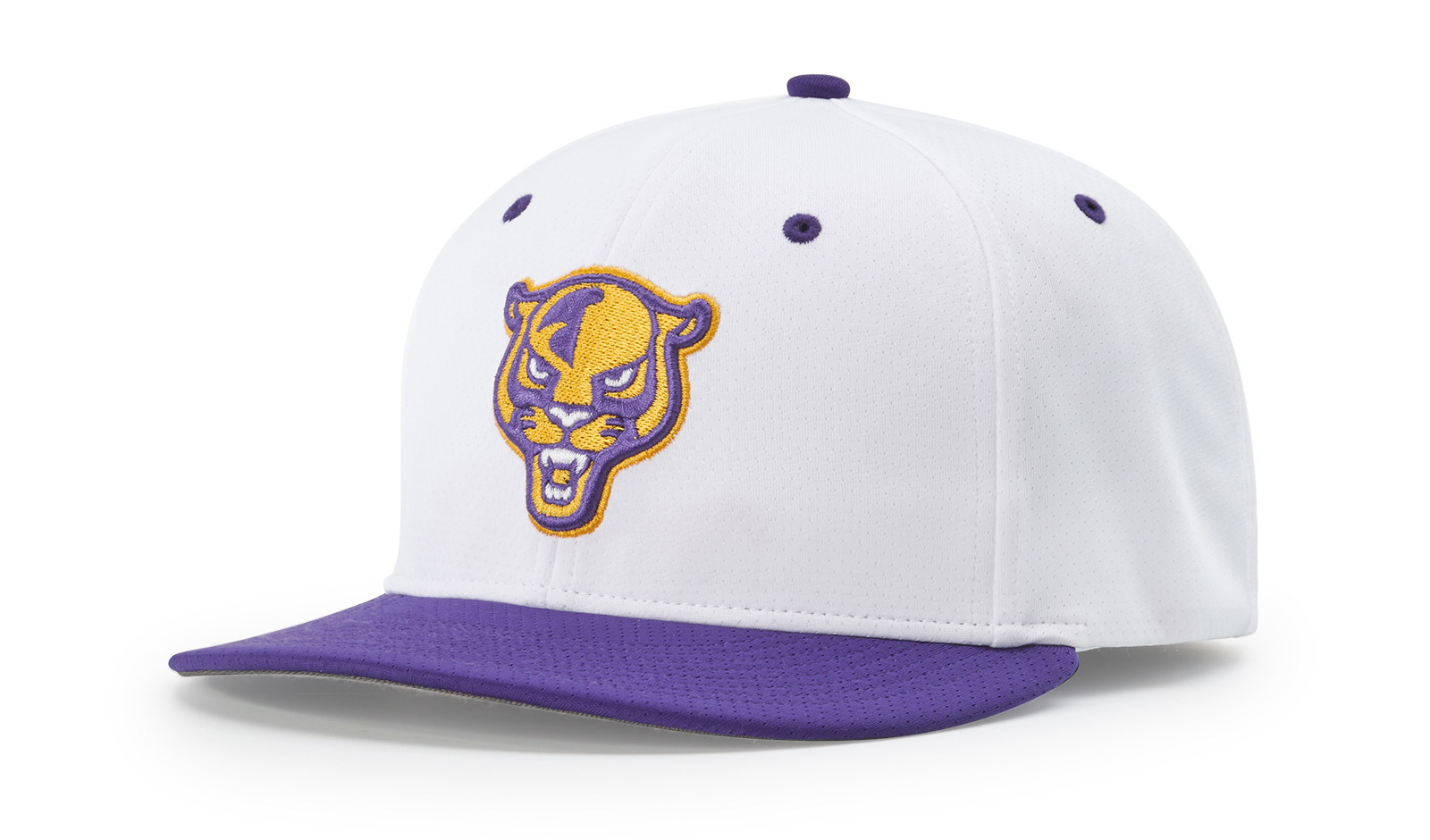 Custom Richardson PTS50 Baseball Hat, moisture-wicking and flexible fit, available in multiple colors.